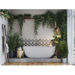 Phòng tắm đẹp kết hợp với trang trí cây xanh